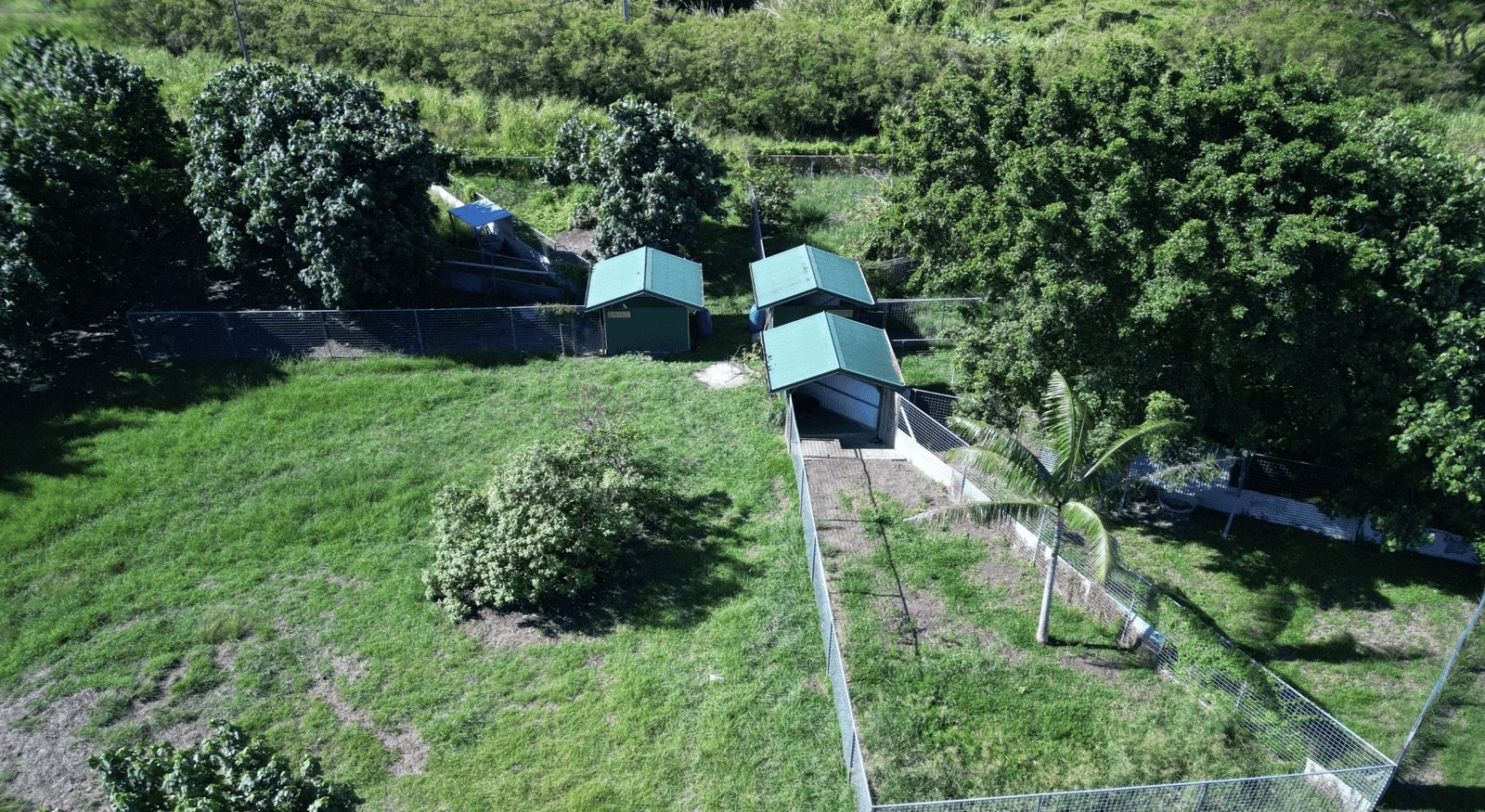 Vue aérienne des grands parcs et de leurs abris